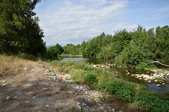 Damselfly habitat on the Tech