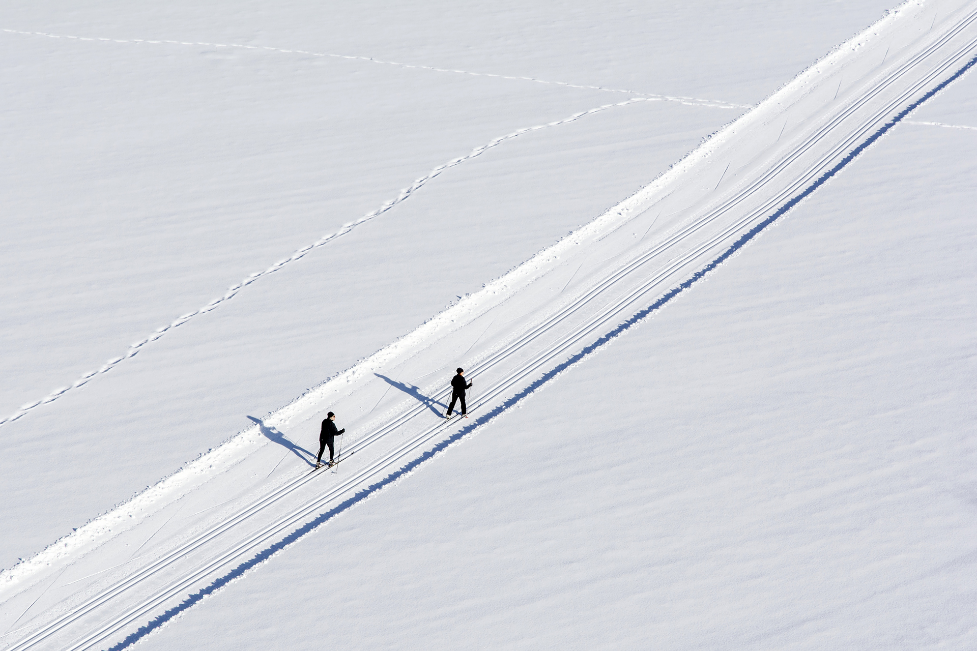 Cross Country Ski Run