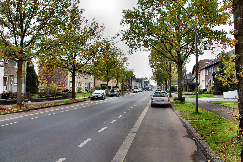 Ickerner Straße (Waltrop) / 2.11.2017