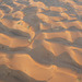 Sand Dunes In The Desert