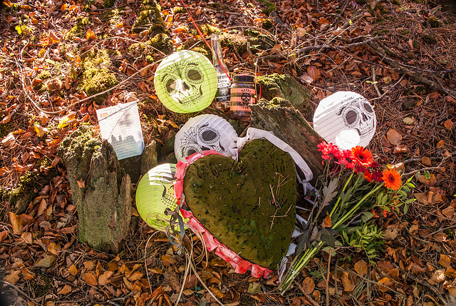 Unexpected Woodland Memorial