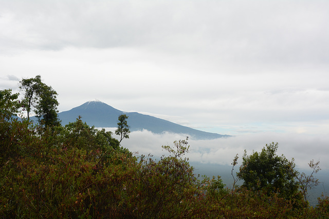 Congo, Mount Karisimbi (4507 m)