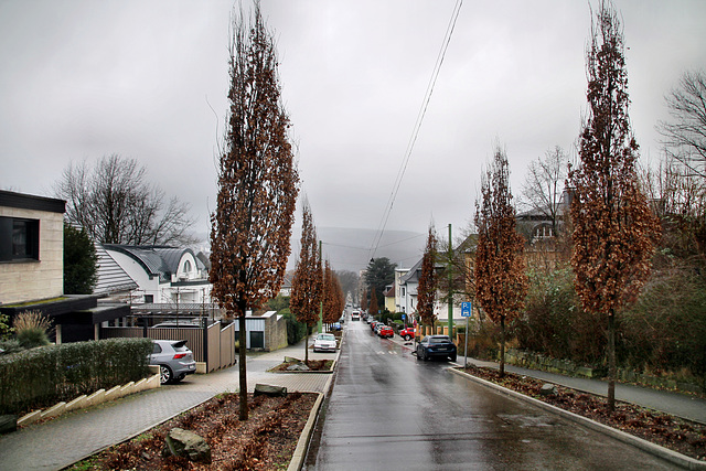 Christian-Rohlfs-Straße (Hagen-Wehringhausen) / 29.01.2022