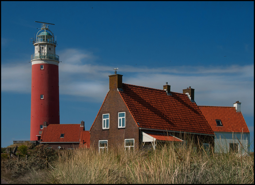 Leuchtturm auf Texel