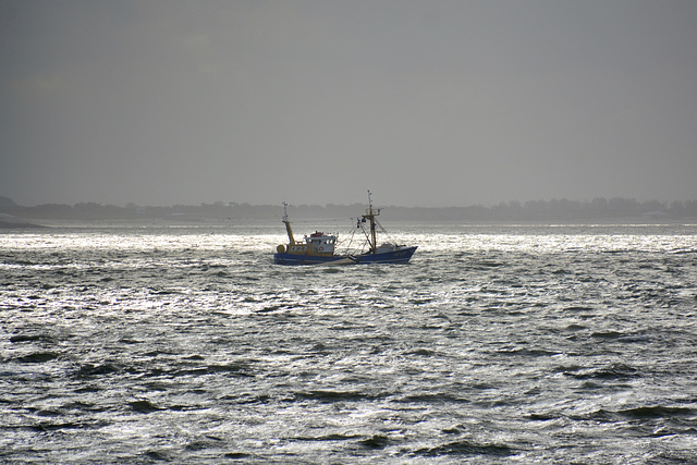 Vlissingen 2017 – Trawler YE-139 Elizabeth on the Western Scheldt