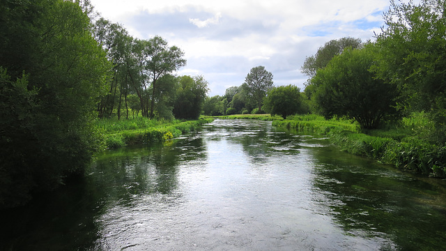 River Itchen