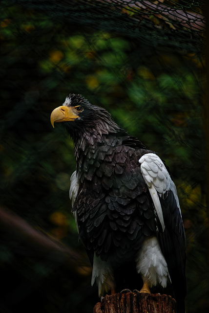 20231029_nürnberg tiergarten