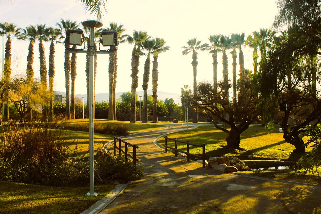 Jardin de Motril en Espagne. HFF.