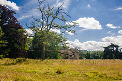 Lacock Abbey