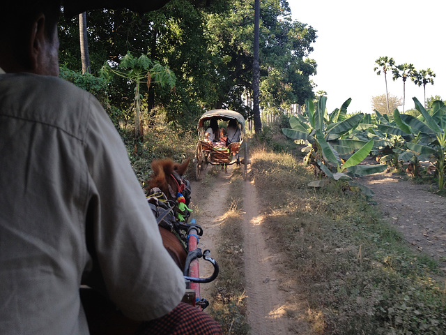 touring by horse and cart