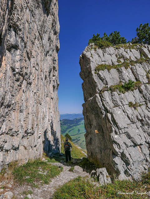 Auf dem Wanderweg zum Äscher und Seealsee