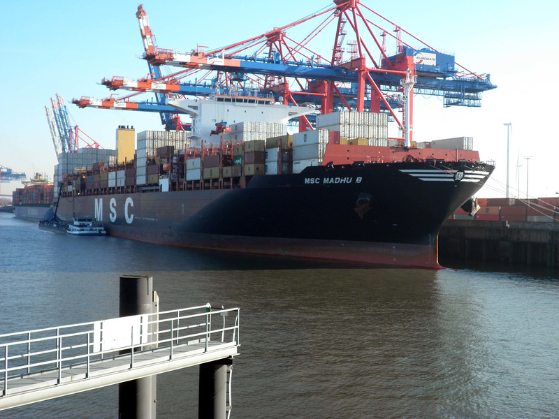 MSC MADHU B
