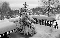 Vestenga - Winter