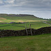 Cown Edge from Narrs Nook Farm