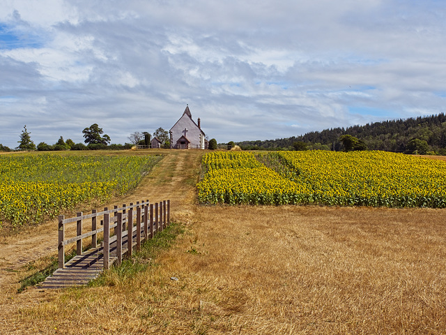 The Little Church in the Field