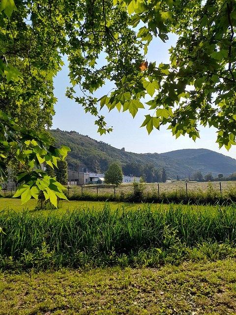 Au fond du parc*************