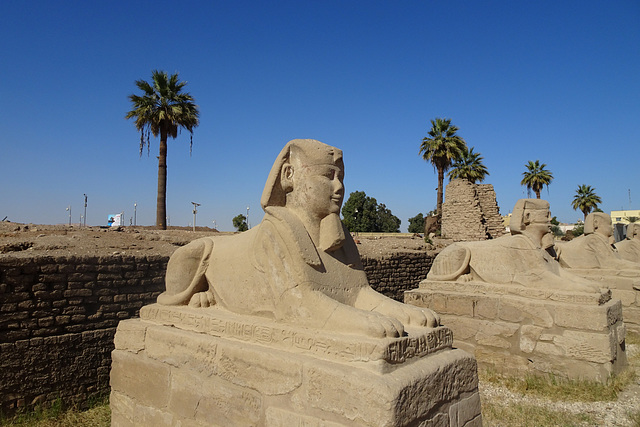 Avenue Of Sphinxes