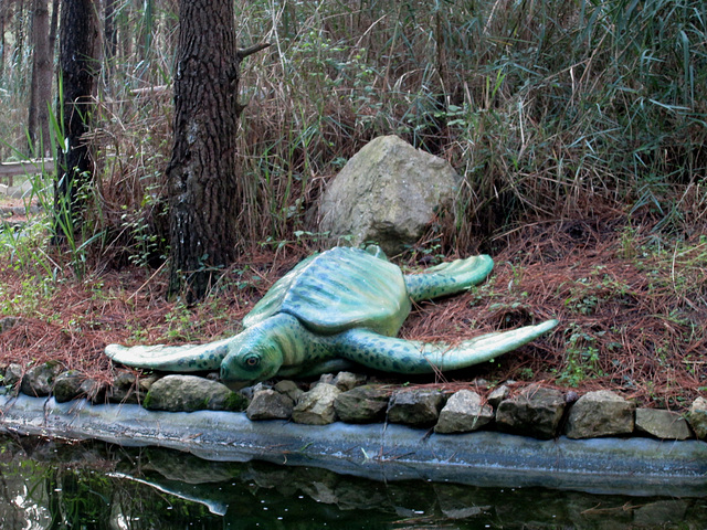 Archelon (cretacic period).