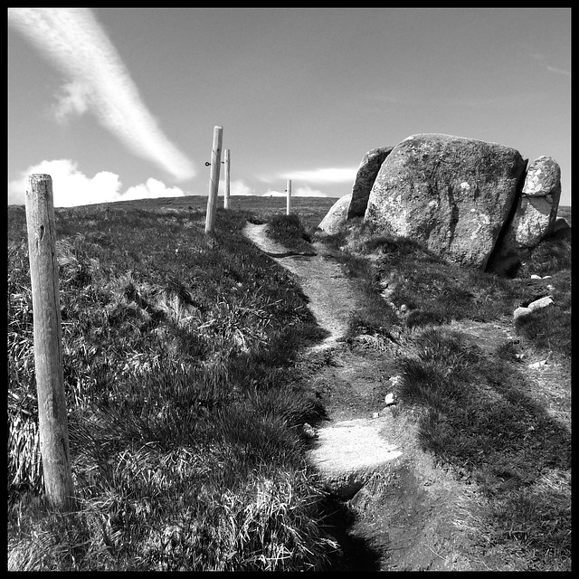 Un sentier vers le sommet du Hohneck