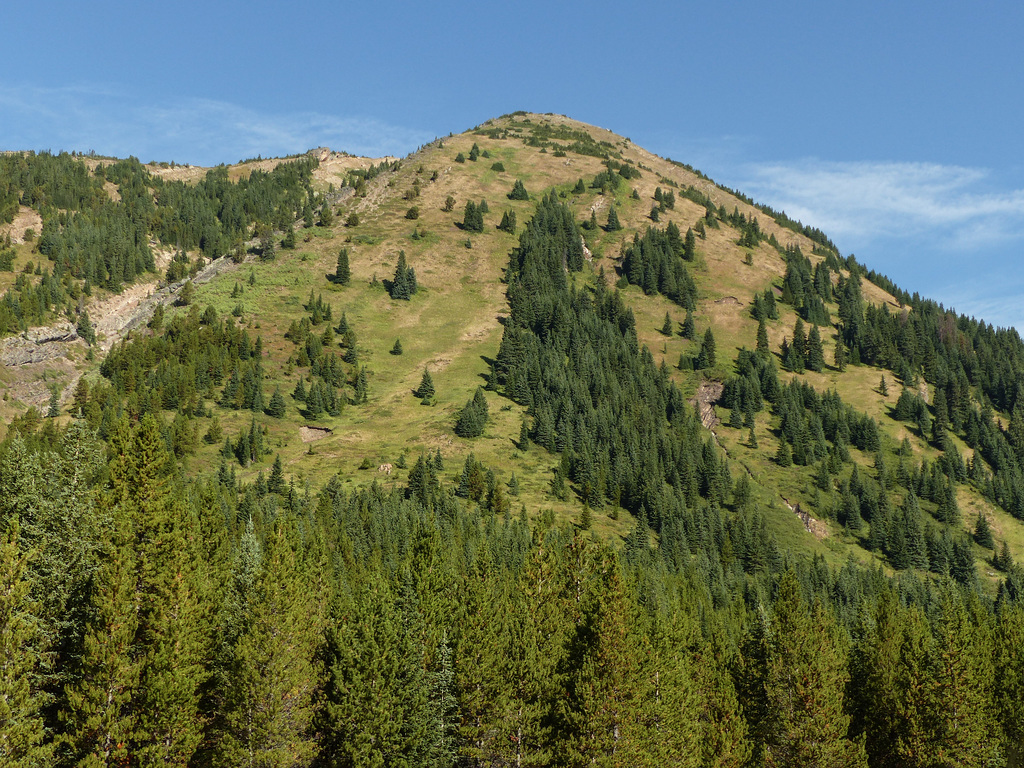 Scenery along Highway 40, Kananaskis