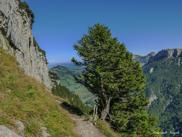 Auf dem Wanderweg zum Äscher und Seealsee