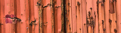 Urban Rusty Crusty