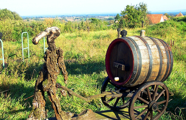 DE - Schweigen - Gesehen im Weinberg