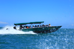 GM3A6489