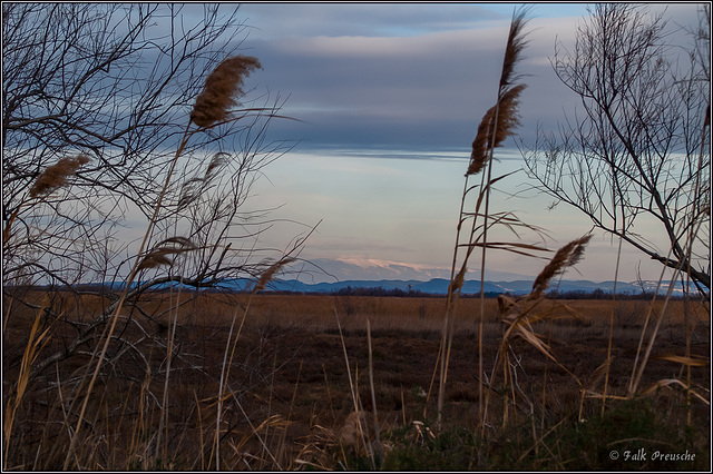 Mount Ventoux aus der Camargue