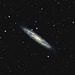 Sculptor Galxay NGC253