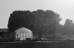 Hoop house