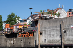 Hamburgtreffen 2025 - Fahrt mit der Maritime Circle Line am 27.04.2025