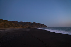 Neuseeland - Wainuiomata Beach