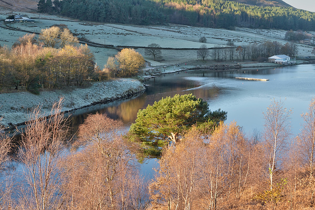 November frost at Dovestones