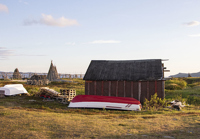 Mittsommer auf der Varanger Halbinsel