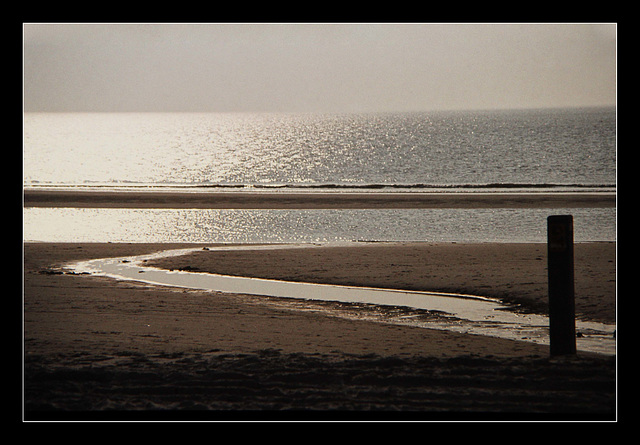 Noord-Holland 1981 (35)