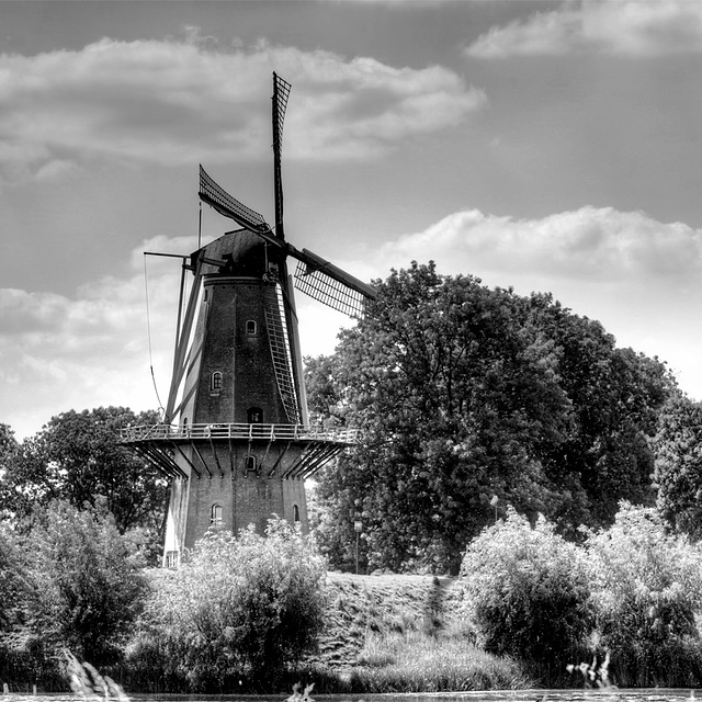 Molen Woudrichem hdr b&w