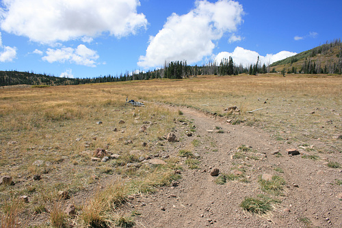 IMG 0229