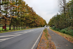 Ickerner Straße (Waltrop) / 2.11.2017