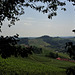 Blick nach Slowenien, Südsteirische Weinstraße