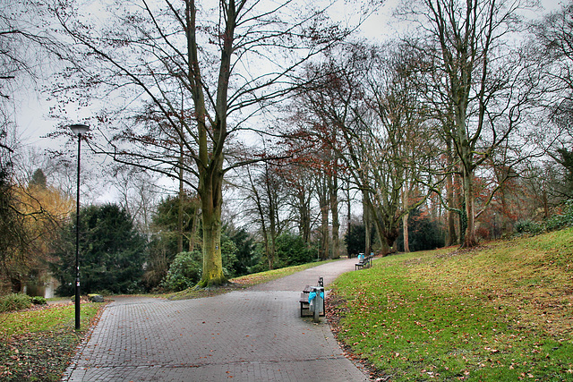 Stadtgarten Hagen / 29.01.2022