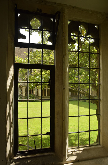 Lacock Abbey Windows