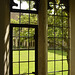 Lacock Abbey Windows