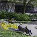 HBM... with benches on Sievekingplatz at Planten und Blomen, a public park in the center of Hamburg (© Buelipix)