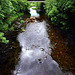 Pendle Water, Lancashire.