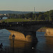 185 Augustusbrücke in Dresden