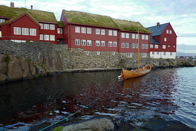 Faroe Islands,  Torshavn L1010641