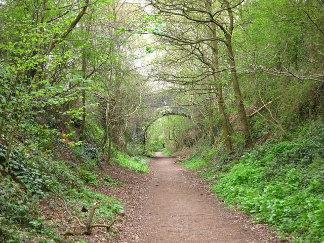 South Staffs Railway Walk