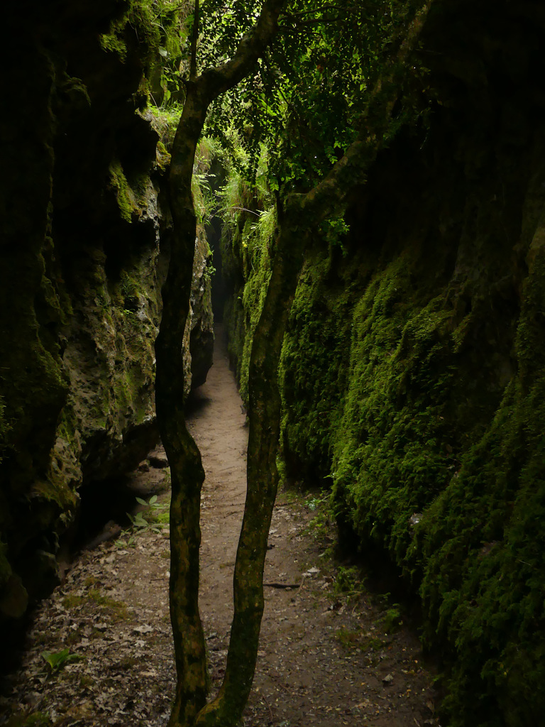 20180720 Rando solo Source du Durzon (116) al