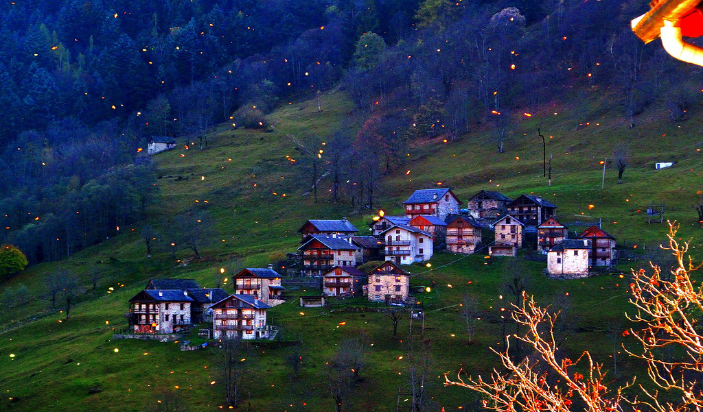 Valsesia - Oro Negro . Foglie dorate